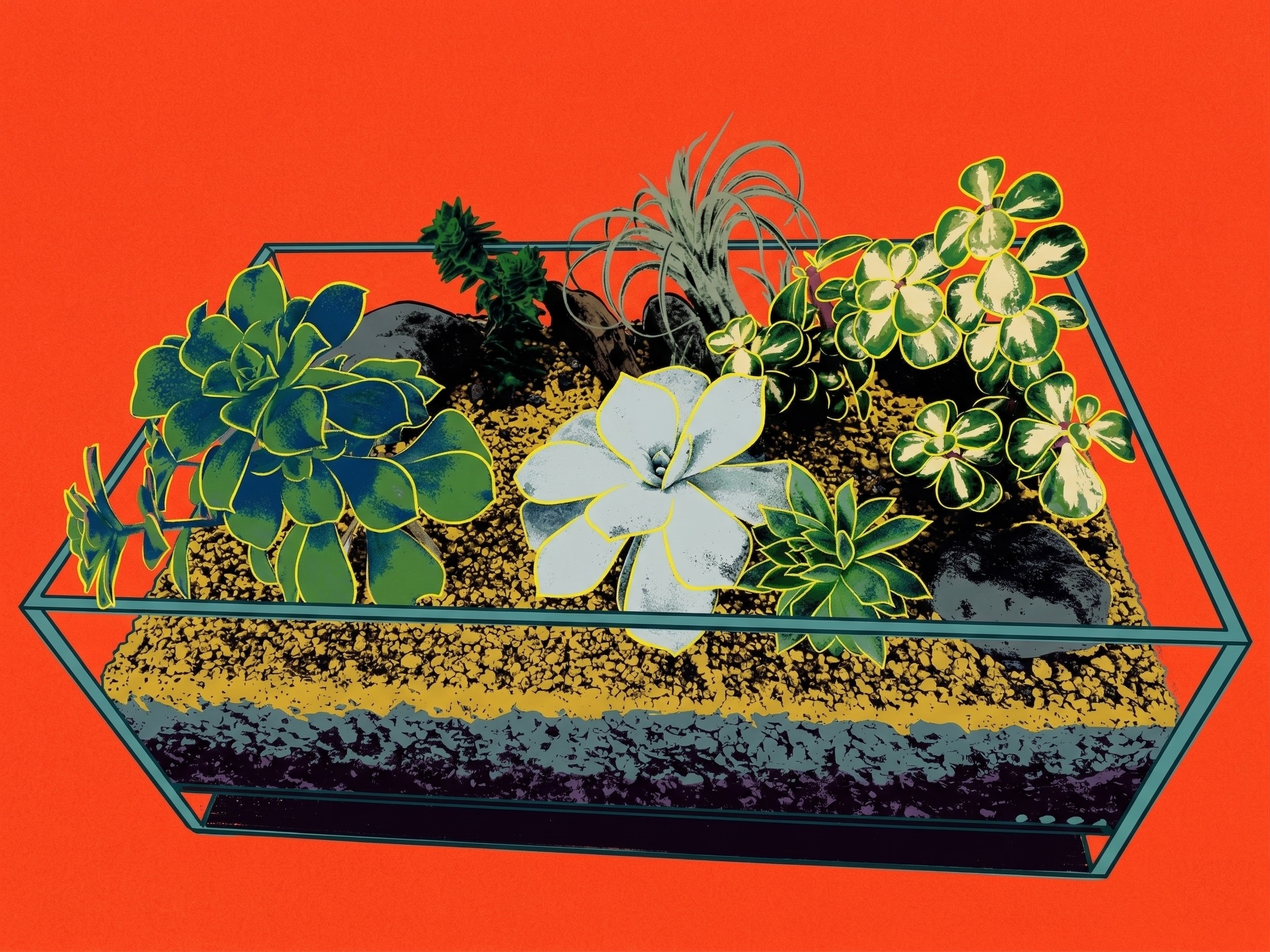 A beautiful succulent terrarium arrangement